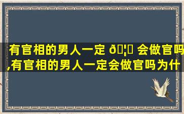 有官相的男人一定 🦅 会做官吗,有官相的男人一定会做官吗为什么